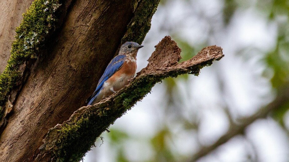 Blog Image 2